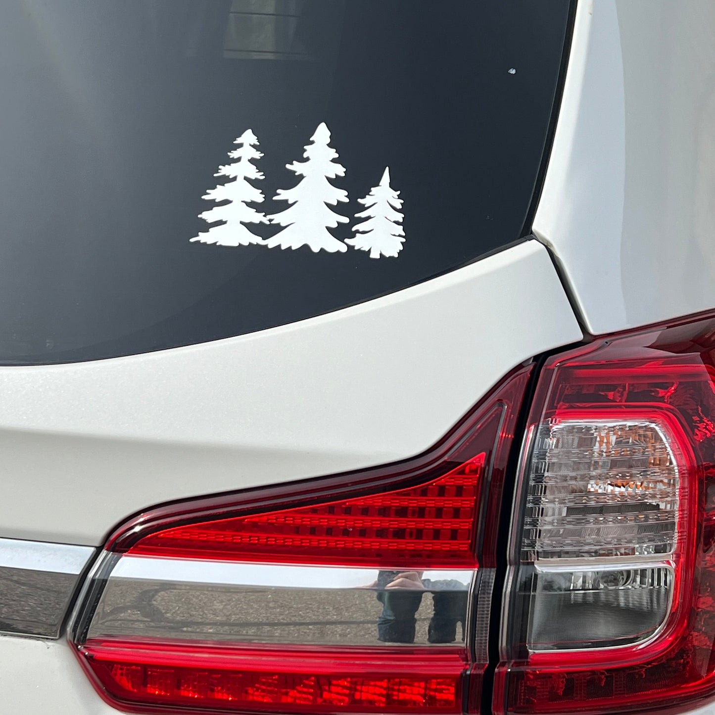 Family Forest Decal - A Burntside Designs Original