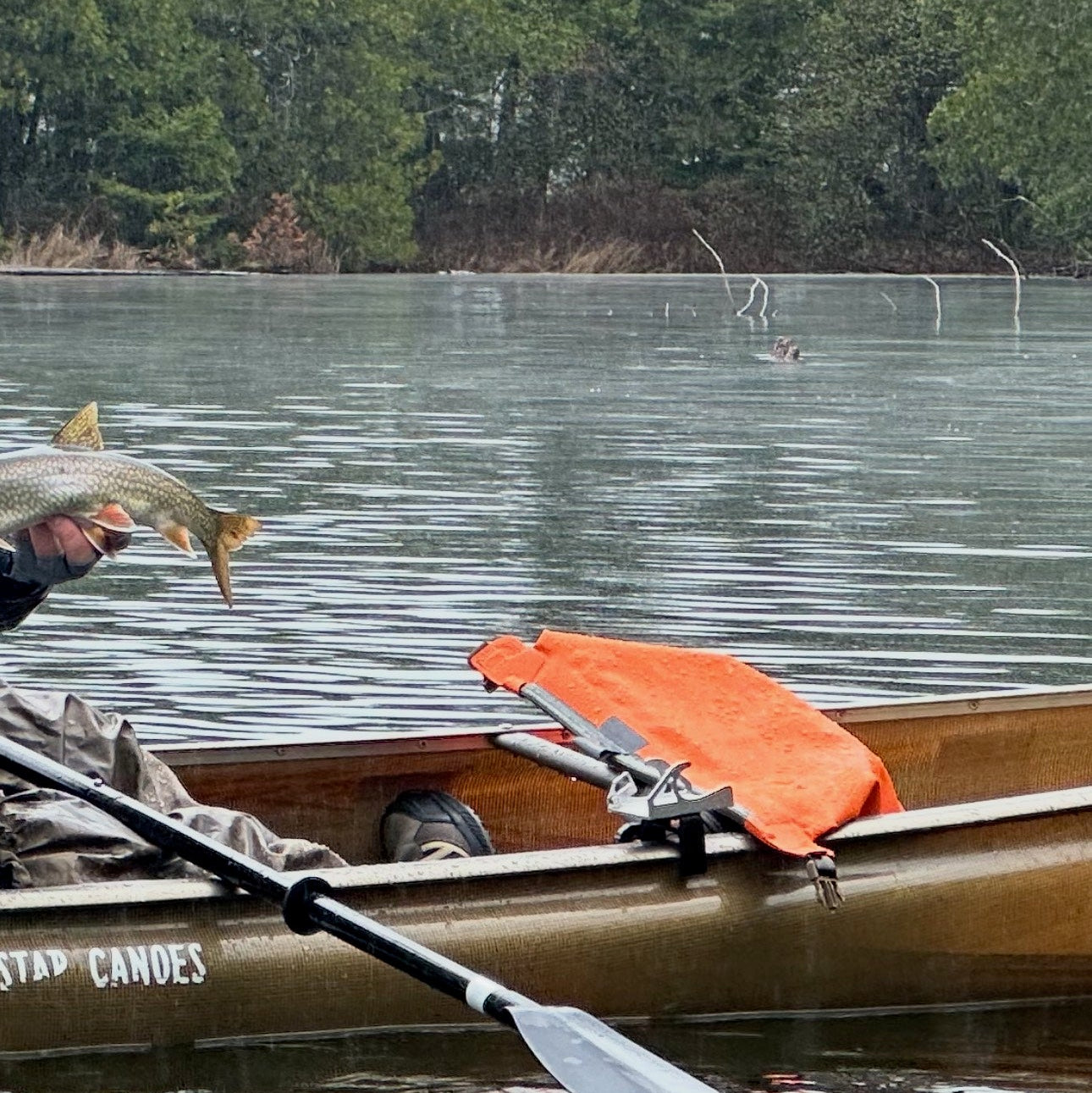 Canoe Fishing Rod Holder - Gunnel/Gunwale (Sides of the Canoe)